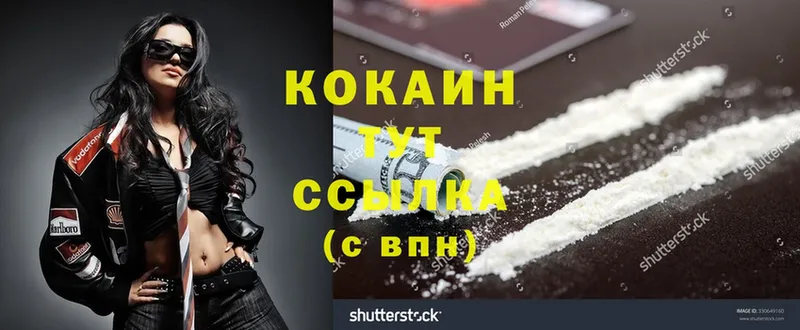 продажа наркотиков  ссылка на мегу ТОР  Cocaine Эквадор  Мыски 